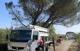 Elagueur Eaunes